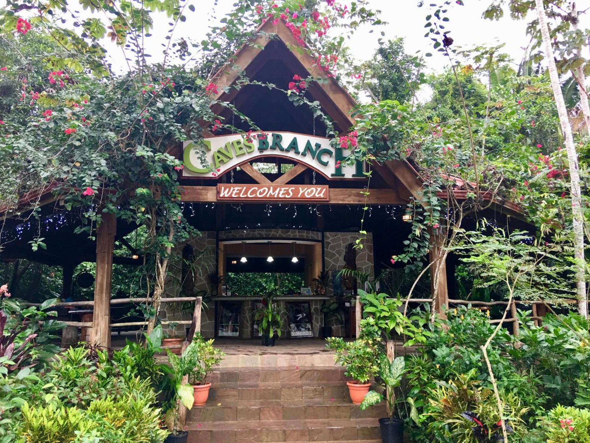 Ian Anderson Caves Branch Jungle Lodge ベルモパン エクステリア 写真