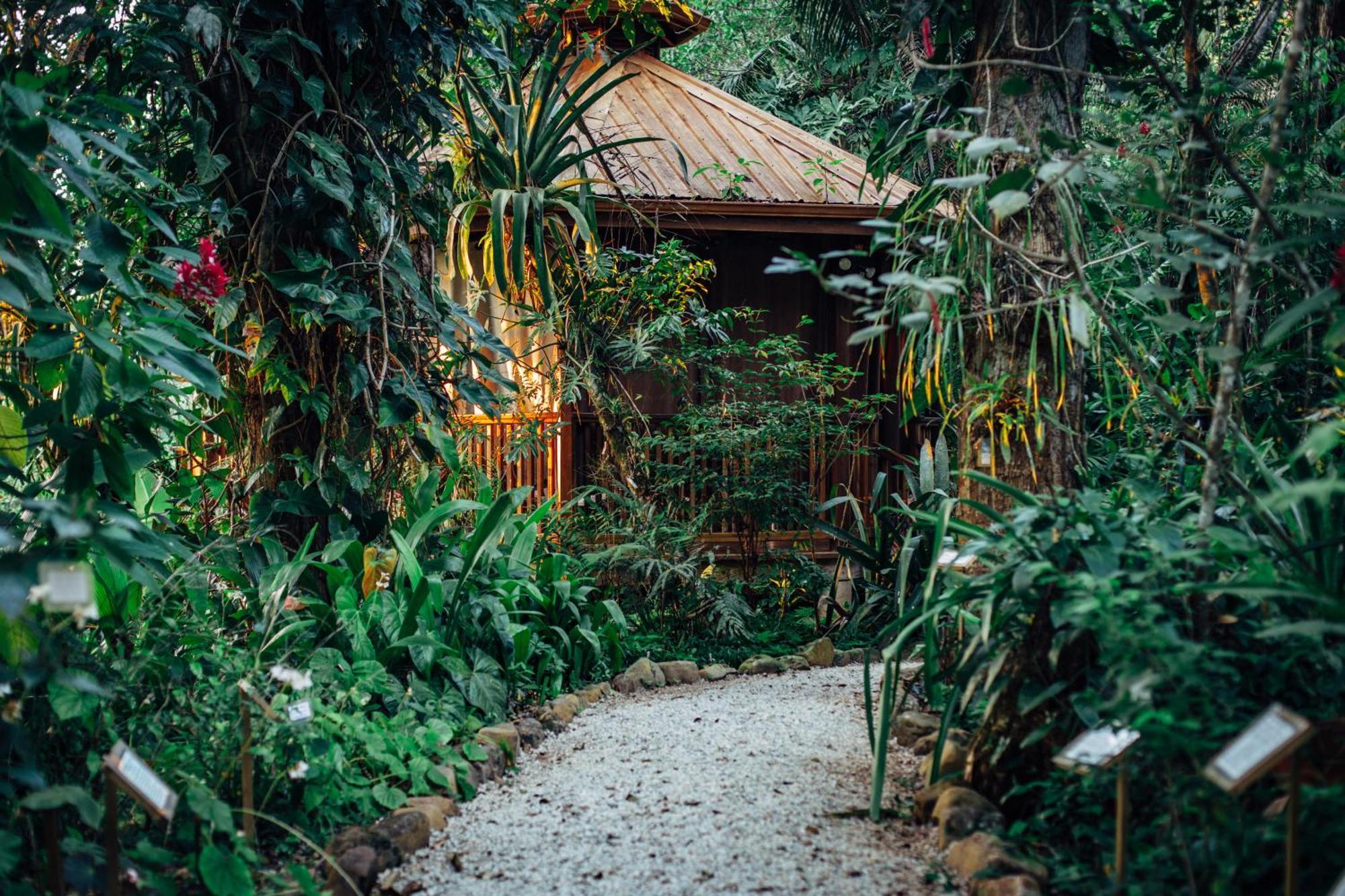 Ian Anderson Caves Branch Jungle Lodge ベルモパン エクステリア 写真